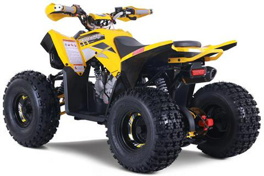 2026 Denago Powersports Trailhawk 10FI