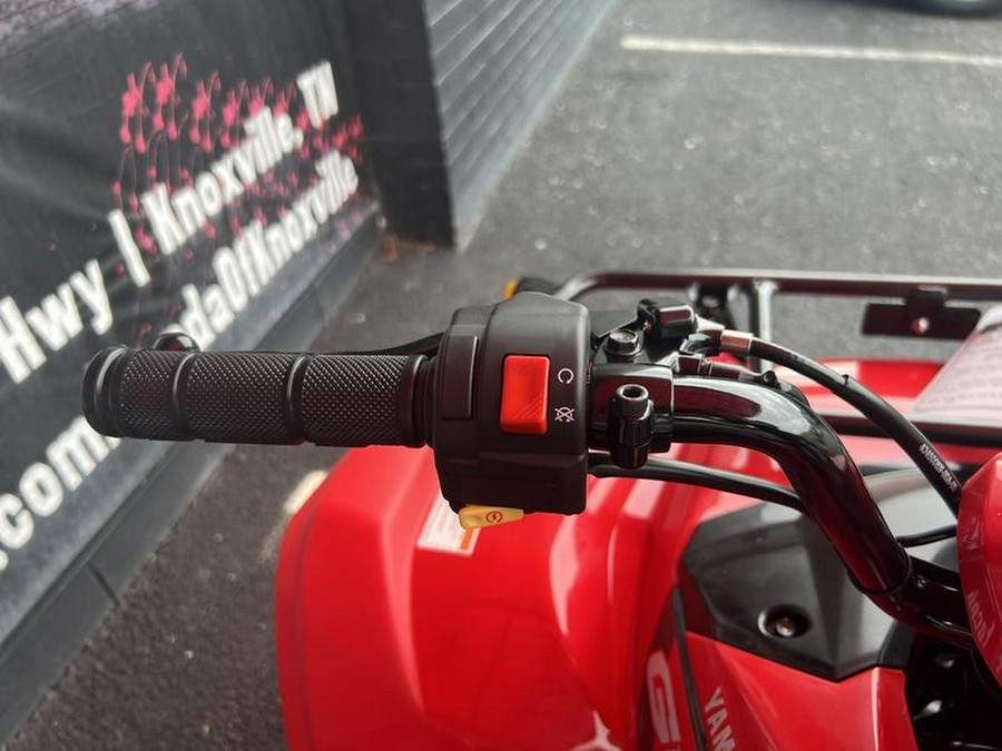 2025 Yamaha Grizzly 110