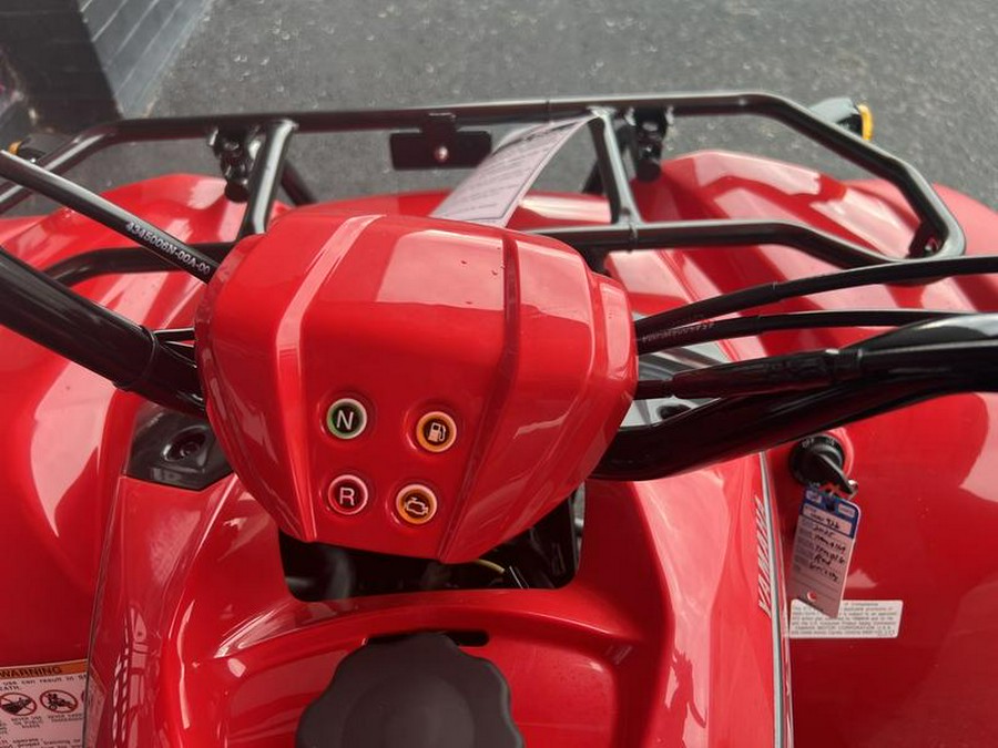 2025 Yamaha Grizzly 110