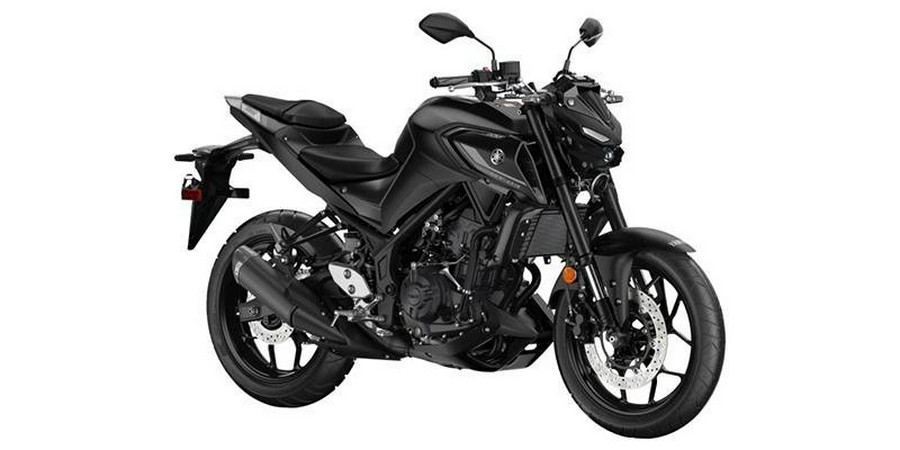 2024 Yamaha MT03RB