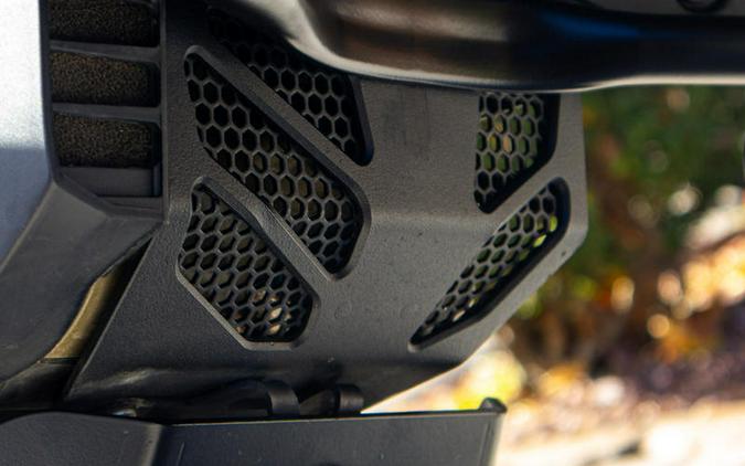 2024 Ducati DesertX RR22