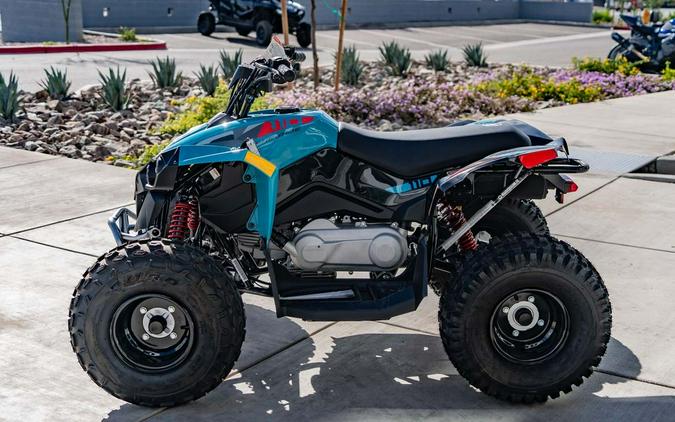 2024 Can-Am® Renegade 110 EFI