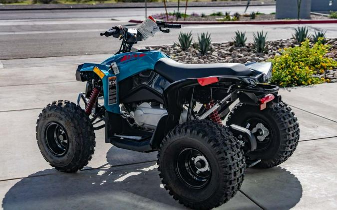 2024 Can-Am® Renegade 110 EFI