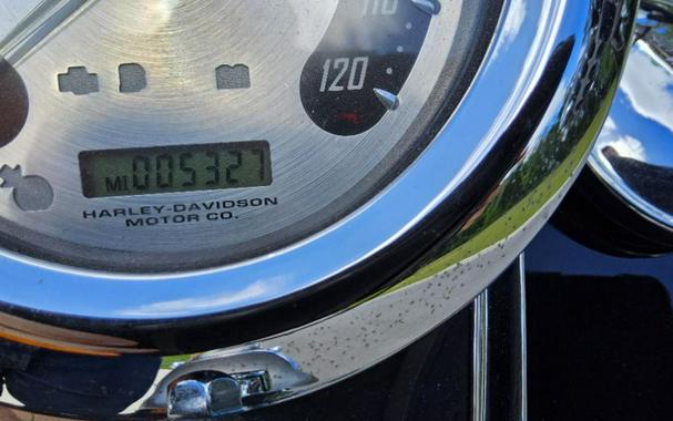 2005 Harley-Davidson FLSTFSE Screamin’ Eagle® Fat Boy®