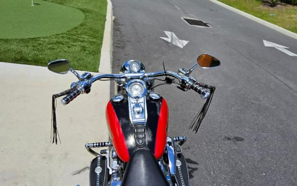 2005 Harley-Davidson FLSTFSE Screamin’ Eagle® Fat Boy®