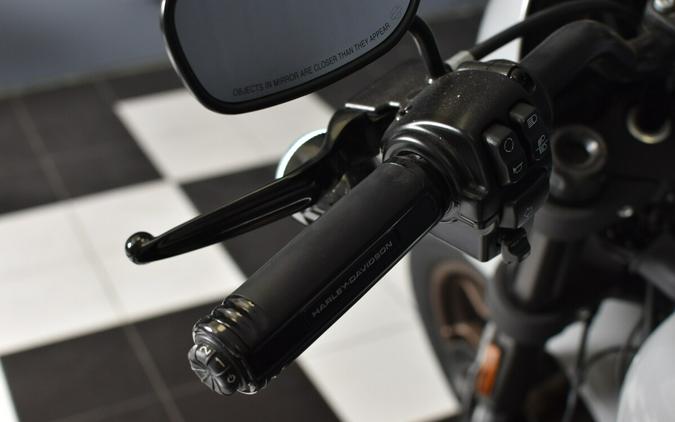 2024 Harley-Davidson Low Rider S Billiard Gray