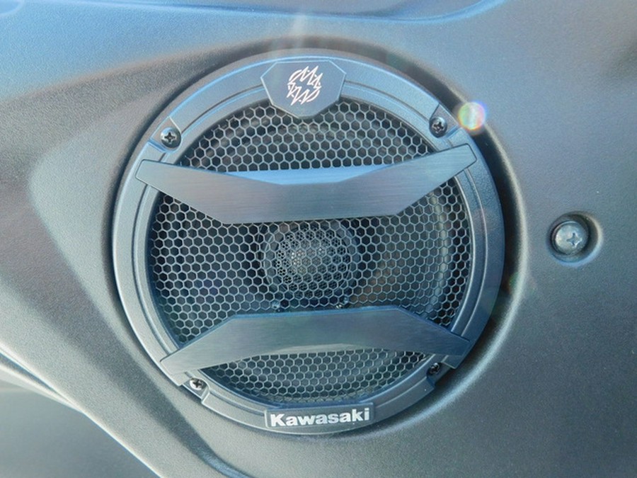 2025 Kawasaki Teryx KRX4 1000 Blackout Edition 1000