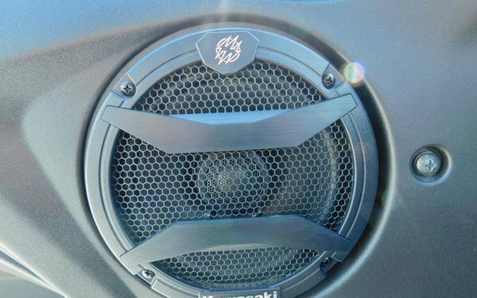 2025 Kawasaki Teryx KRX4 1000 Blackout Edition 1000