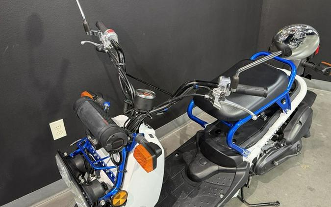 2022 Honda Ruckus