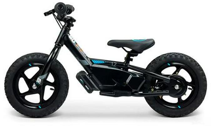 2025 Stacyc 12eDRIVE