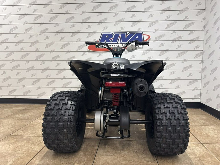 2026 Can-Am Renegade 110 EFI