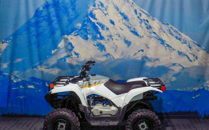 2024 Yamaha Grizzly 90