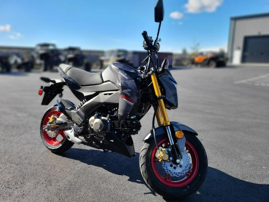 2024 Kawasaki Z125 PRO