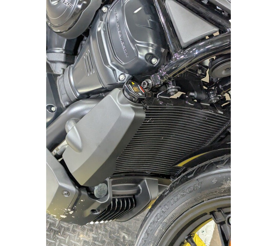 2026 Harley-Davidson® Nightster® Dark Billiard Gray Black Trim