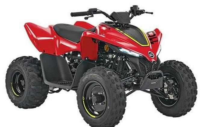 2023 CFMOTO C FORCE 110