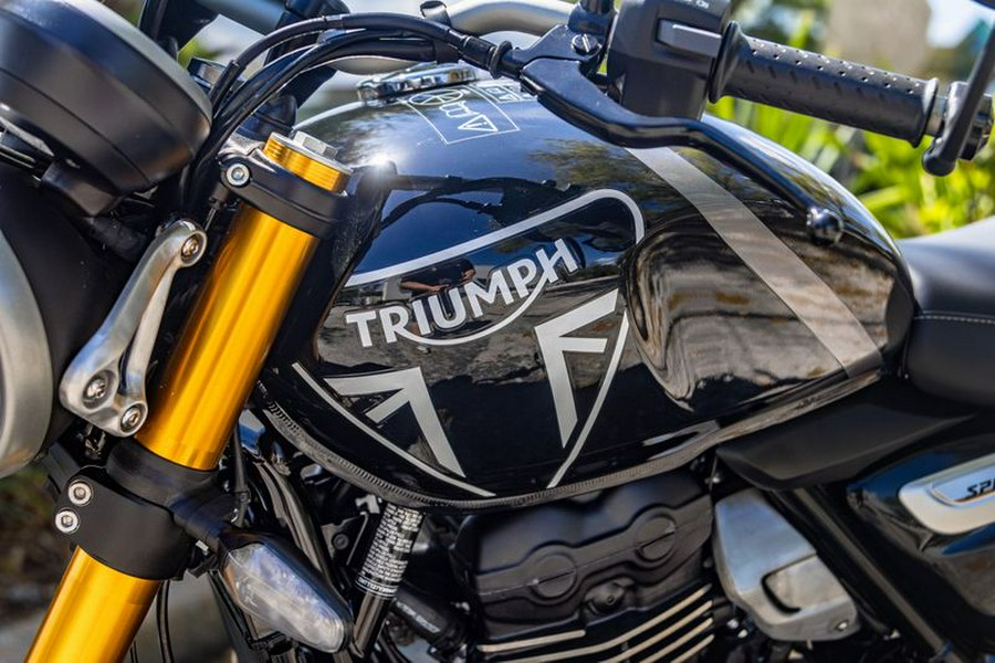 2024 Triumph Speed