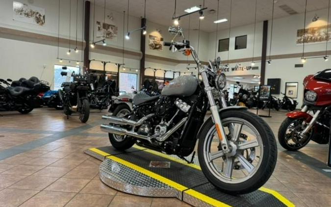 2024 Harley-Davidson® FXST - Softail® Standard