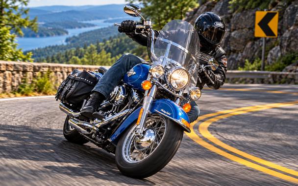 2015 HARLEY-DAVIDSON FLSTCI - F030659