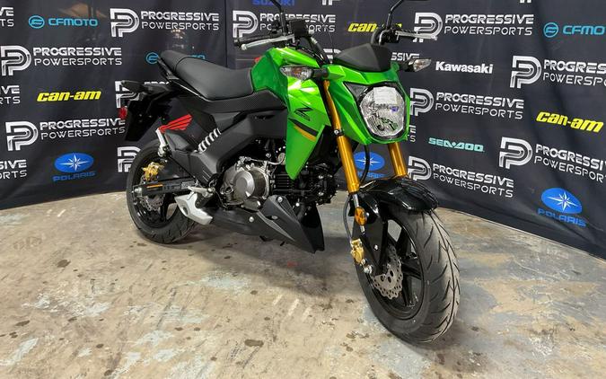 2024 Kawasaki Z125 PRO