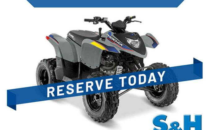 2025 Polaris® Phoenix 200