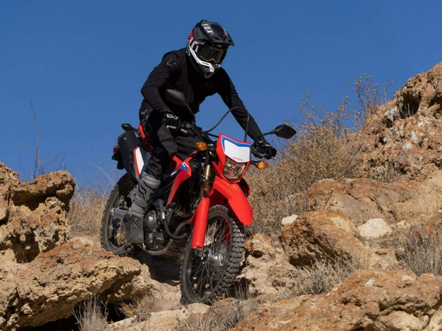 2022 Honda® CRF300L