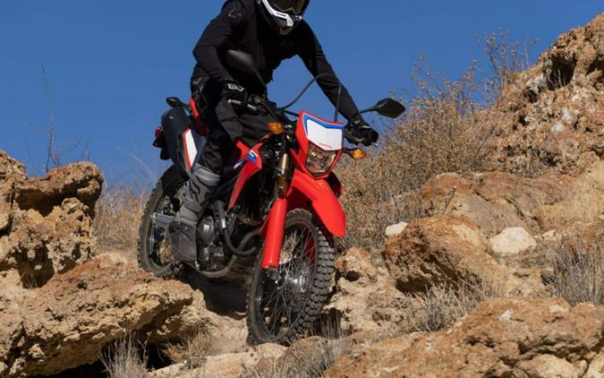 2022 Honda® CRF300L