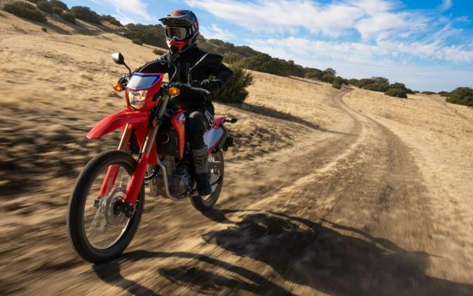 2022 Honda® CRF300L