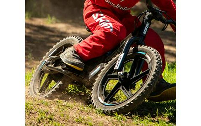 2025 Stacyc 16eDRIVE Brushless