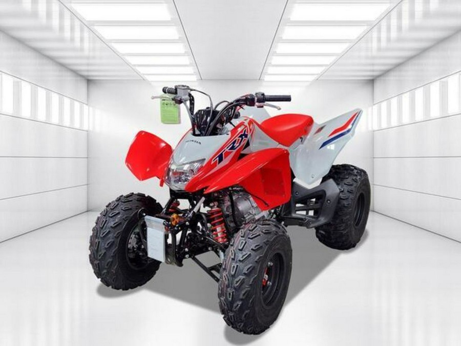 2024 Honda TRX 250X