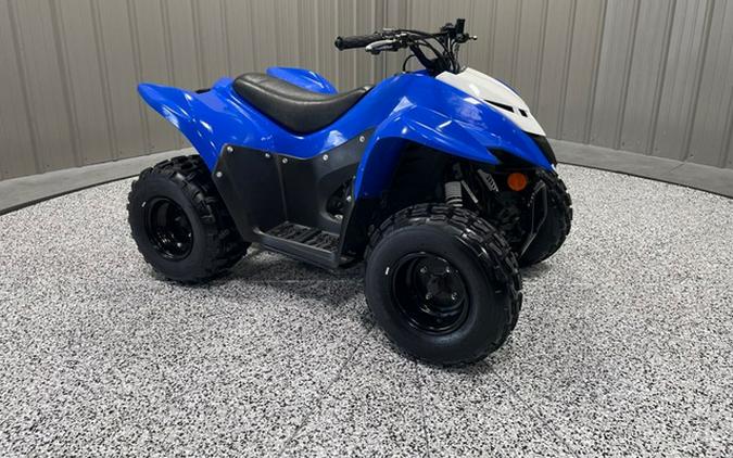 2023 Kawasaki KFX 90