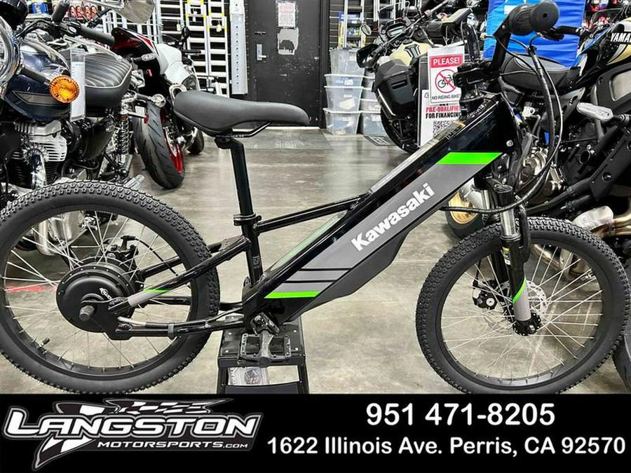 2025 Kawasaki ELEKTRODE 20"