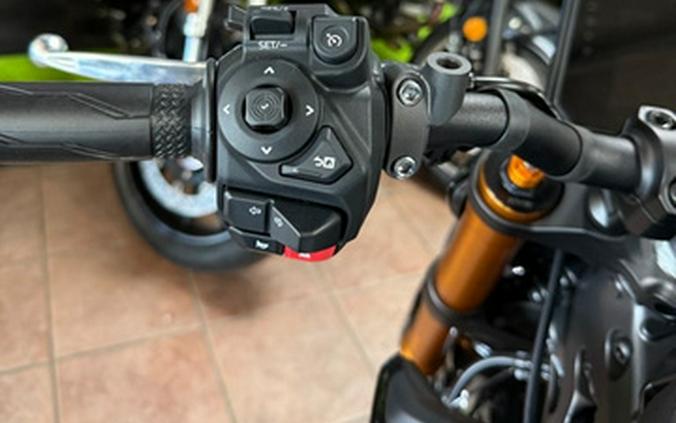 2025 Yamaha MT 09 SP