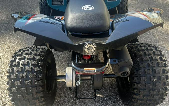 2026 Can-Am Renegade 110 EFI