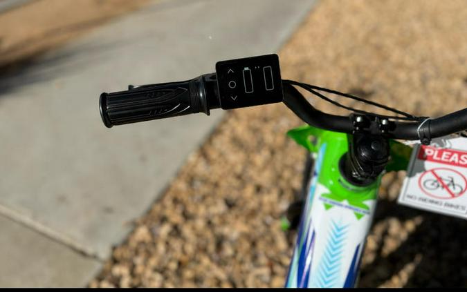 2023 Kawasaki ELEKTRODE 16