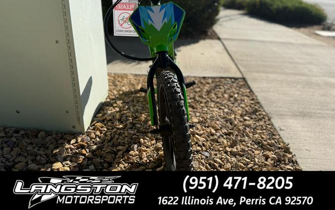 2023 Kawasaki ELEKTRODE 16