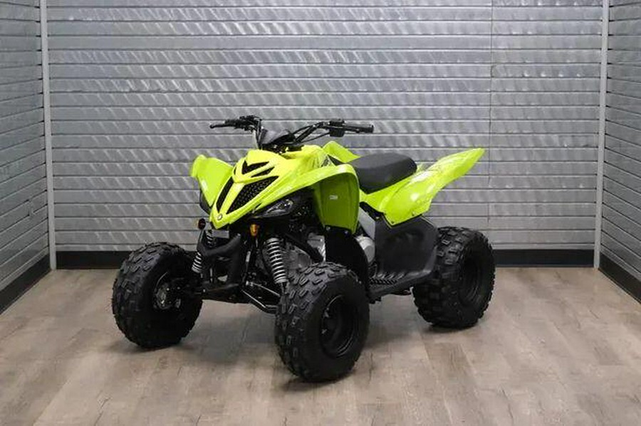 2026 YAMAHA RAPTOR 110