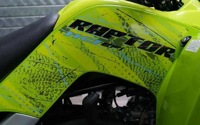 2026 YAMAHA RAPTOR 110