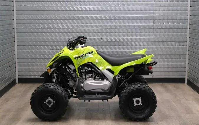 2026 YAMAHA RAPTOR 110