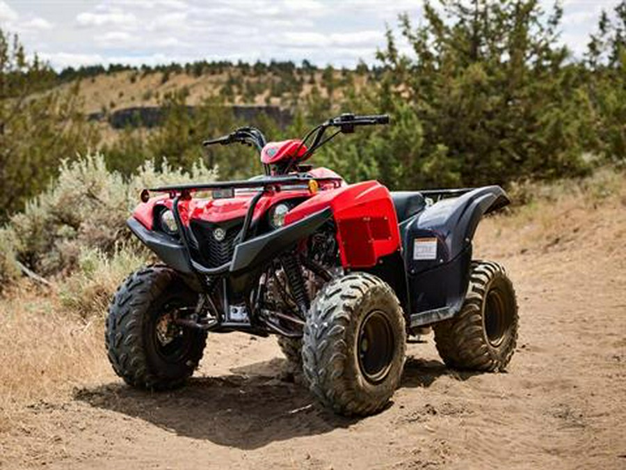 2025 Yamaha Grizzly 110