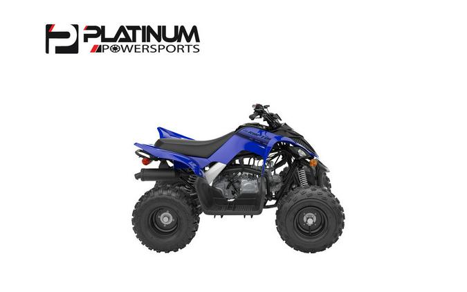 2024 Yamaha Raptor 110