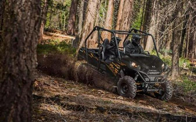 2020 Kawasaki Teryx®