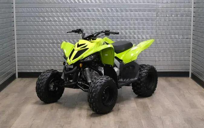 2026 YAMAHA RAPTOR 110