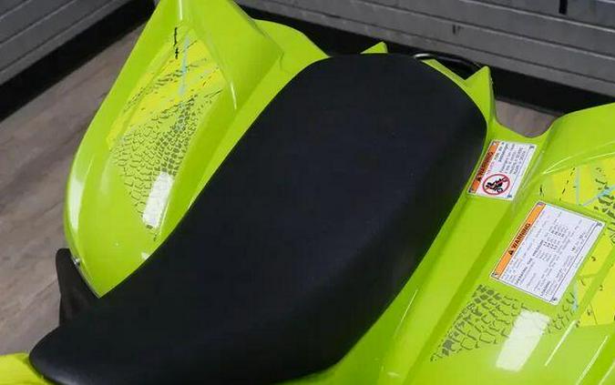 2026 YAMAHA RAPTOR 110