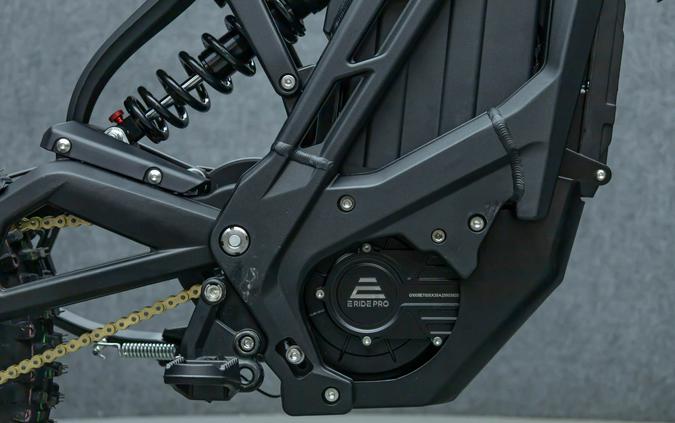 2025 E RIDE PRO S 17"