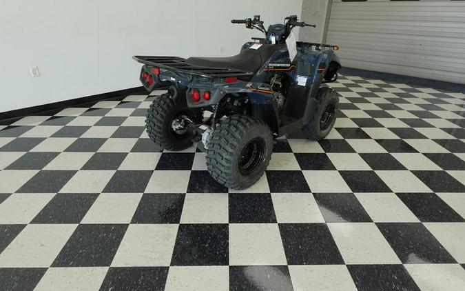 2025 Kawasaki Brute Force® 300