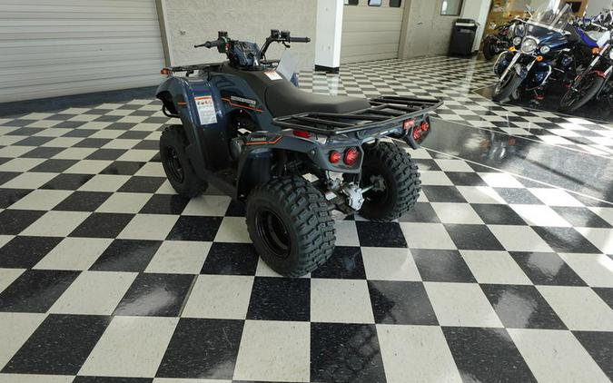 2025 Kawasaki Brute Force® 300