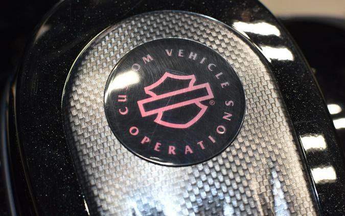 2015 Harley-Davidson Cvo Street Glide Special