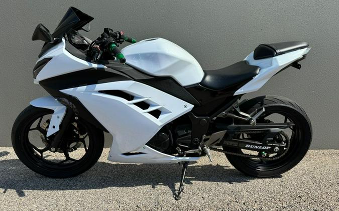 2013 Kawasaki Ninja® 300 ABS