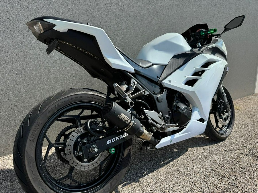 2013 Kawasaki Ninja® 300 ABS