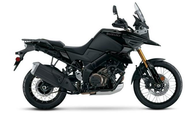 2024 Suzuki V-STROM 1050DE